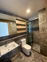 Suites @ Cairnhill (D9), Apartment #460521451